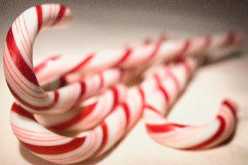 Candy Cane (pl.)